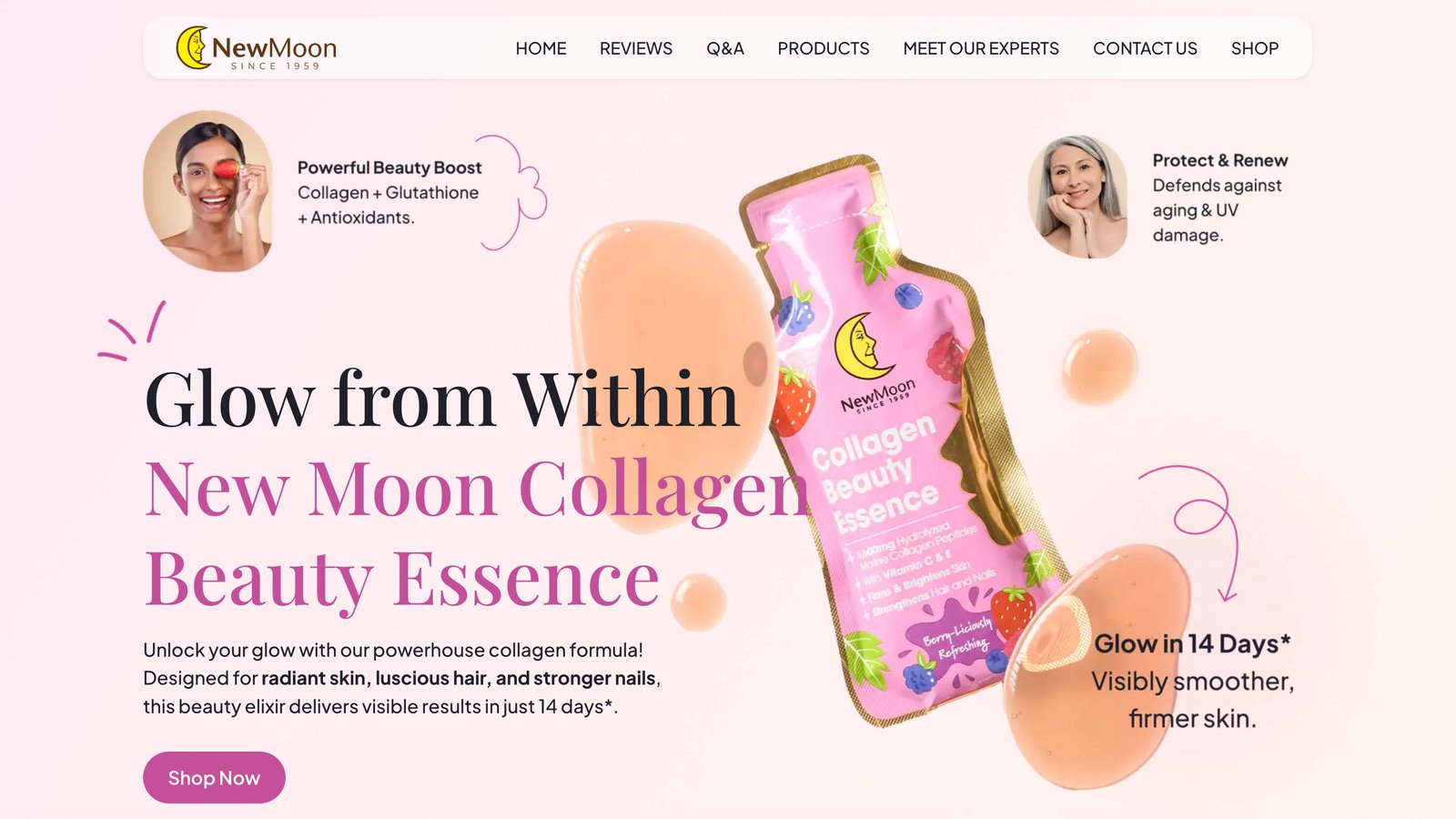 NewMoon project preview
